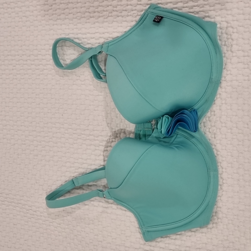 NWT Mint green D+ La Vie En Rose Bikini Top